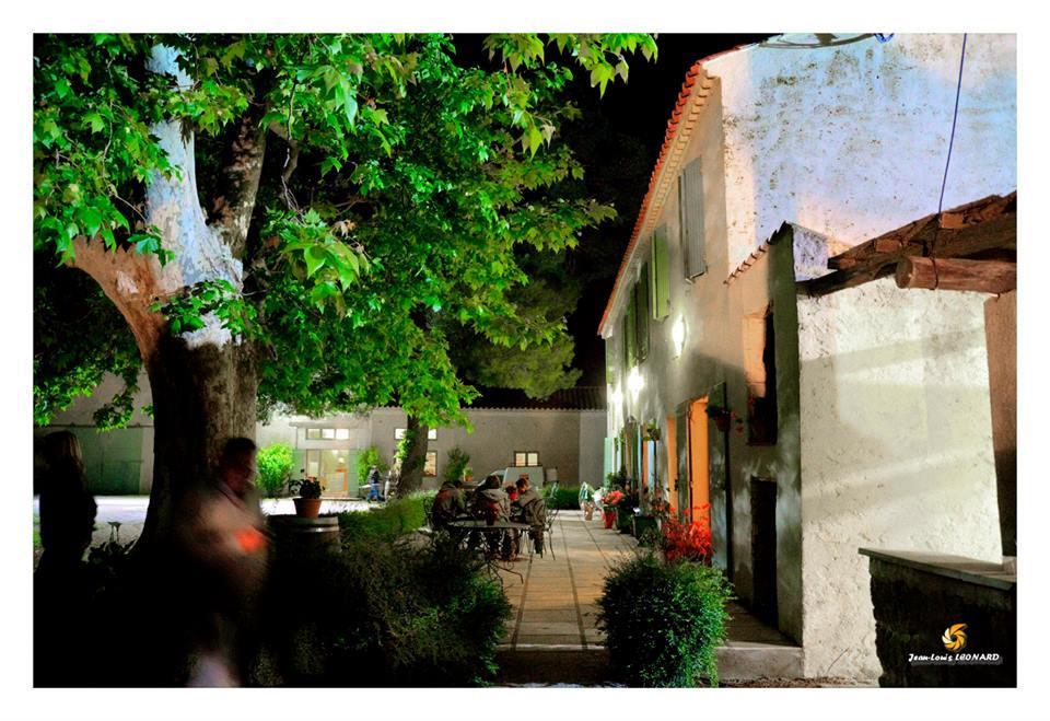 Manade Saint Louis Mas De La Paix Bed and Breakfast Vauvert Εξωτερικό φωτογραφία